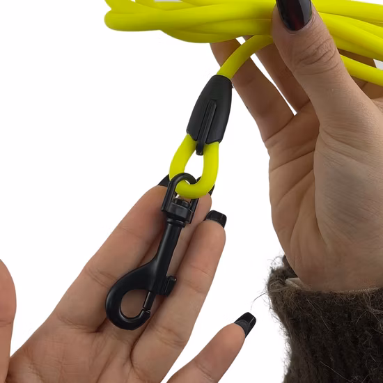 Rena Pet nouvelle mode Durable de haute qualité pleine taille dégradé couleur collier réglable et laisse