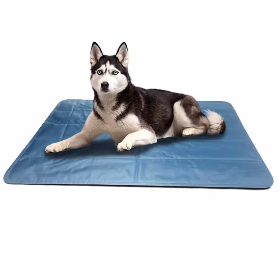 Fournitures pour animaux de compagnie, une pièce de remplacement de cheveux, coussin de glace rafraîchissant d'été, matelas de niche lavable pour chien, offre spéciale