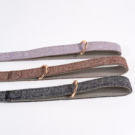 Vente en gros d'alimentation pour animaux de compagnie imprimé laisse de collier de chien léger conception personnalisée collier de chien de marque privée et ensemble de laisse en nylon rembourré en néoprène laisse de collier de chien de luxe